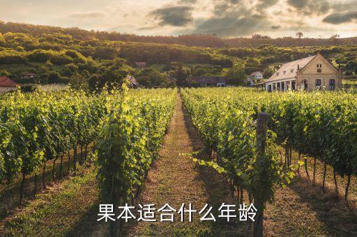 果本适合什么年龄