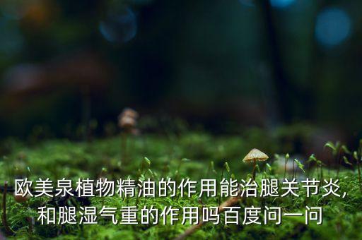 欧美泉植物精油的作用能治腿关节炎,和腿湿气重的作用吗百度问一问