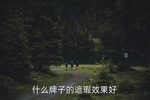 什么牌子的遮瑕效果好