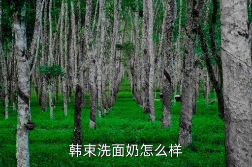 韩束洗面奶怎么样