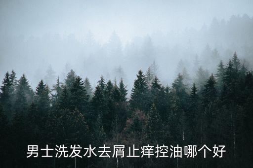 男士洗发水去屑止痒控油哪个好