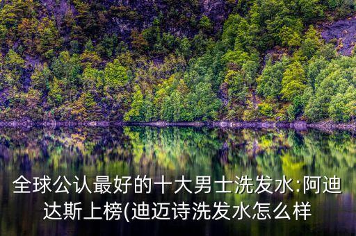 全球公认最好的十大男士洗发水:阿迪达斯上榜(迪迈诗洗发水怎么样
