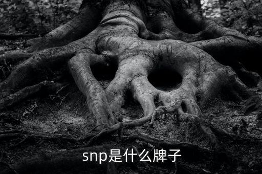 snp动物面膜怎么样