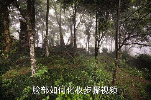 脸部如何化妆步骤视频