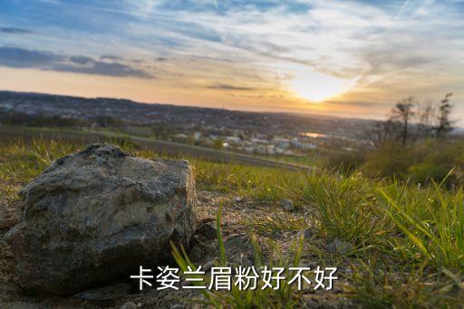卡姿兰眉粉专柜多少钱