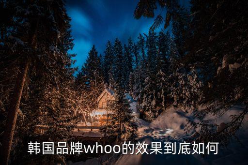 韩国品牌whoo的效果到底如何