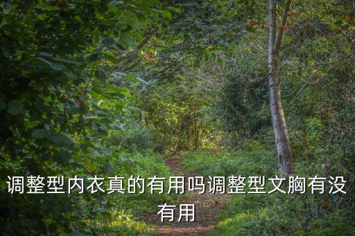 调整型内衣真的有用吗调整型文胸有没有用