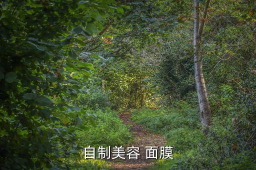 自制美容 面膜