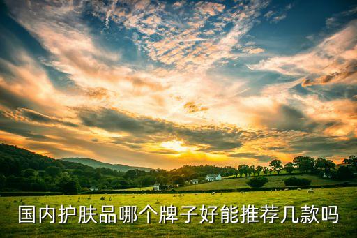 国内护肤品哪个牌子好能推荐几款吗