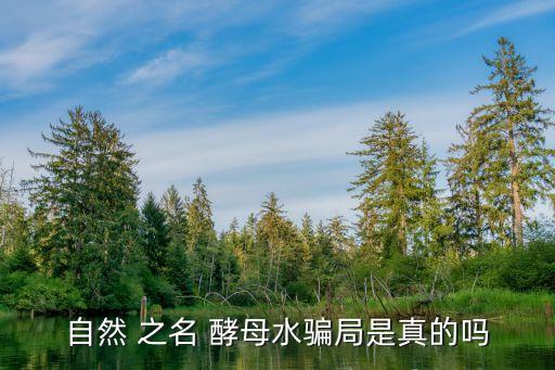 自然 之名 酵母水骗局是真的吗
