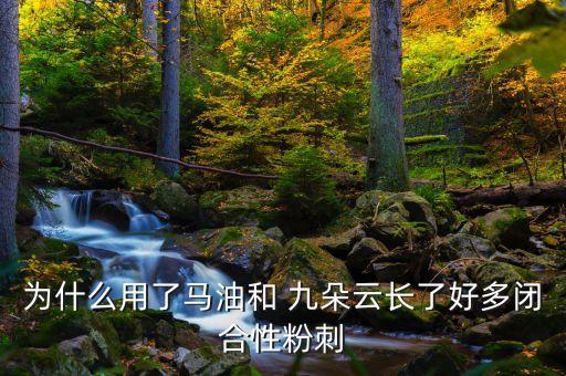 为什么用了马油和 九朵云长了好多闭合性粉刺