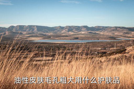 油性皮肤毛孔粗大用什么护肤品