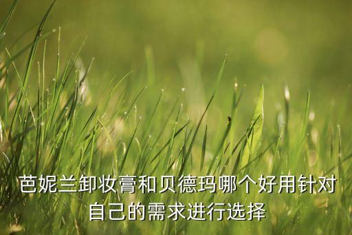  芭妮兰卸妆膏和贝德玛哪个好用针对自己的需求进行选择