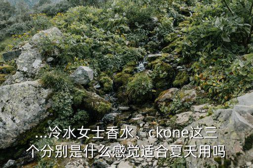 ...冷水女士香水、ckone这三个分别是什么感觉适合夏天用吗