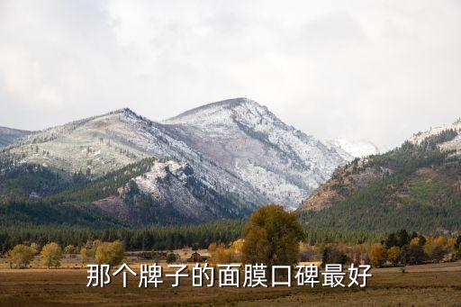 那个牌子的面膜口碑最好
