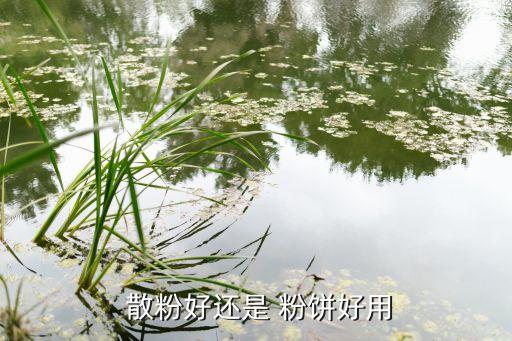  散粉好还是 粉饼好用