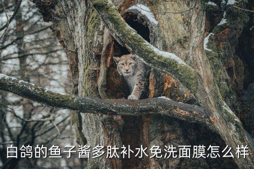 白鸽的鱼子酱多肽补水免洗面膜怎么样