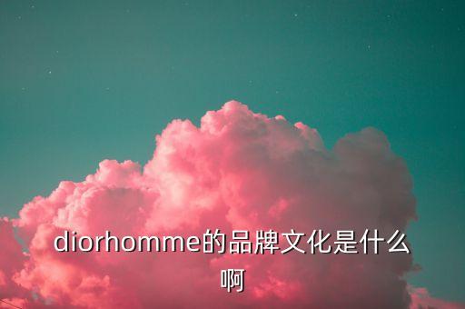 diorhomme的品牌文化是什么啊