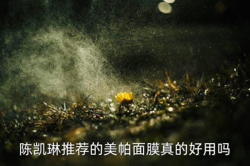 陈凯琳推荐的美帕面膜真的好用吗