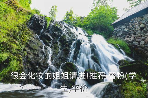 很会化妆的姐姐请进!推荐 蜜粉(学生,平价