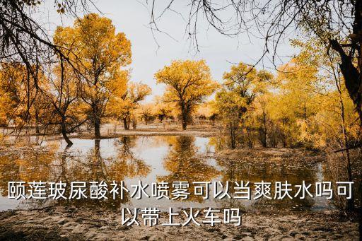 颐莲玻尿酸补水喷雾可以当爽肤水吗可以带上火车吗