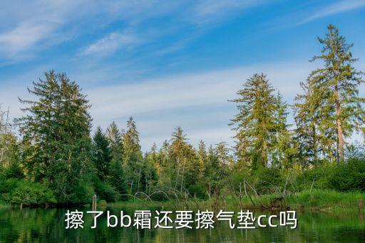 擦了bb霜还要擦气垫cc吗