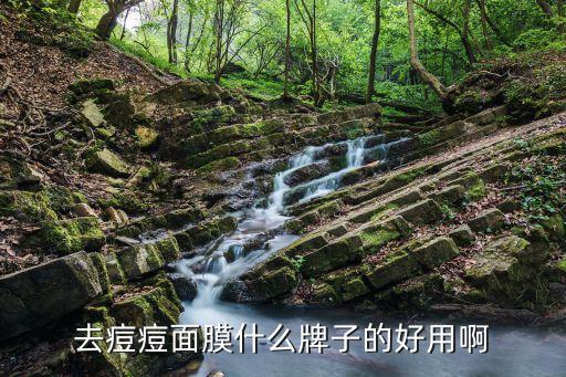 去痘痘面膜什么牌子的好用啊