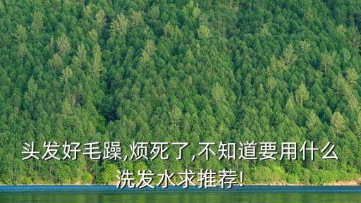 头发好毛躁,烦死了,不知道要用什么洗发水求推荐!