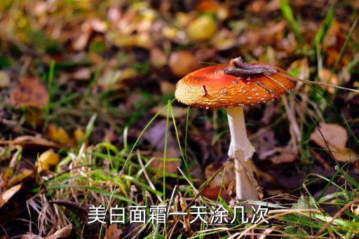 美白面霜一天涂几次