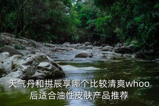 天气丹和拱辰享哪个比较清爽whoo后适合油性皮肤产品推荐