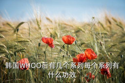 韩国WHOO后有几个系列每个系列有什么功效