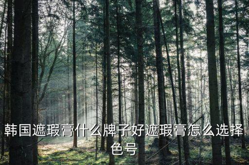 韩国遮瑕膏什么牌子好遮瑕膏怎么选择色号