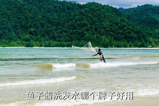 鱼子酱洗发水哪个牌子好用