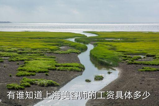 有谁知道上海美容师的工资具体多少