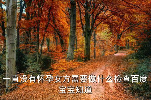一直没有怀孕女方需要做什么检查百度宝宝知道