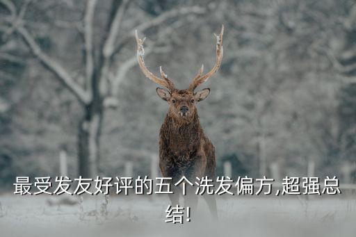 无患子如何洗头
