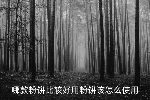 哪款粉饼比较好用粉饼该怎么使用