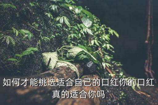 rmk104怎么样