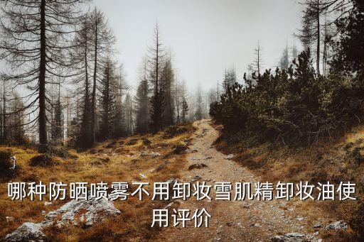 哪种防晒喷雾不用卸妆雪肌精卸妆油使用评价