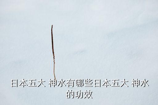 日本五大 神水有哪些日本五大 神水的功效