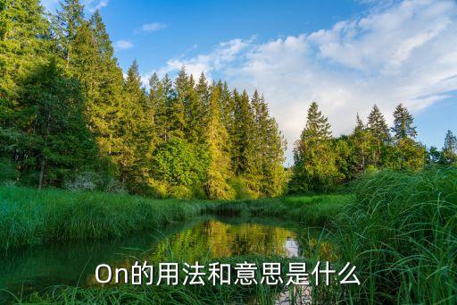 on the body怎么样,英文解释:body是什么?