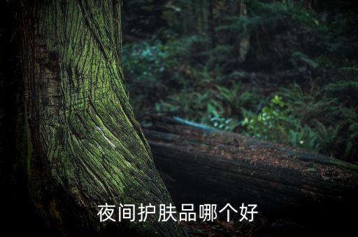 夜间护肤品哪个好