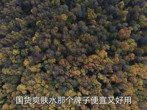 国货爽肤水那个牌子便宜又好用