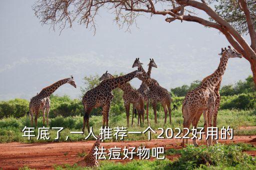 年底了,一人推荐一个2022好用的 祛痘好物吧