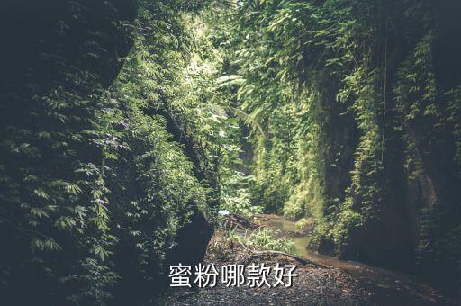  蜜粉哪款好