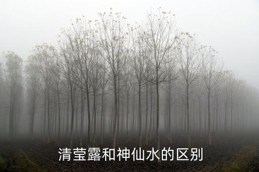  清莹露和神仙水的区别