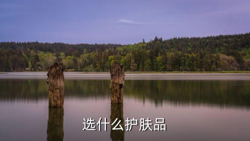 选什么护肤品