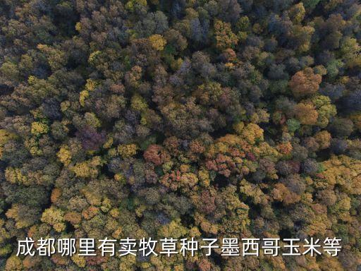 成都哪里有卖牧草种子墨西哥玉米等