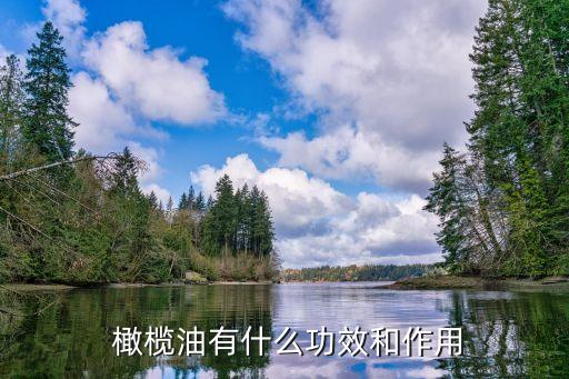  橄榄油有什么功效和作用