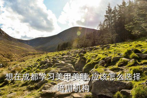 想在成都学习美甲美睫,应该怎么选择培训机构